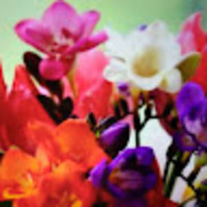 Meet your Posher, Ceegee